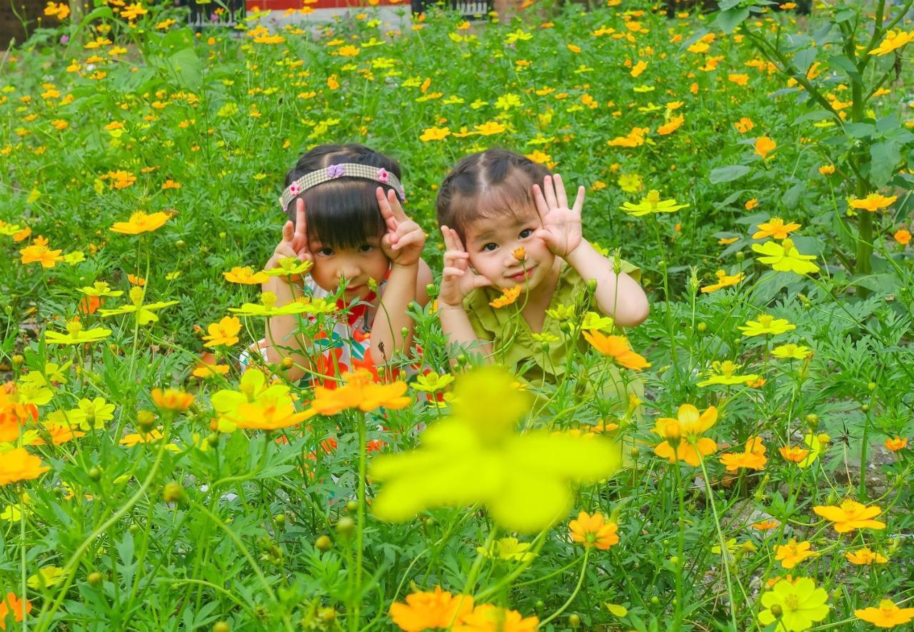 Ninh Binh Mountain Side Homestay & Cafe Экстерьер фото